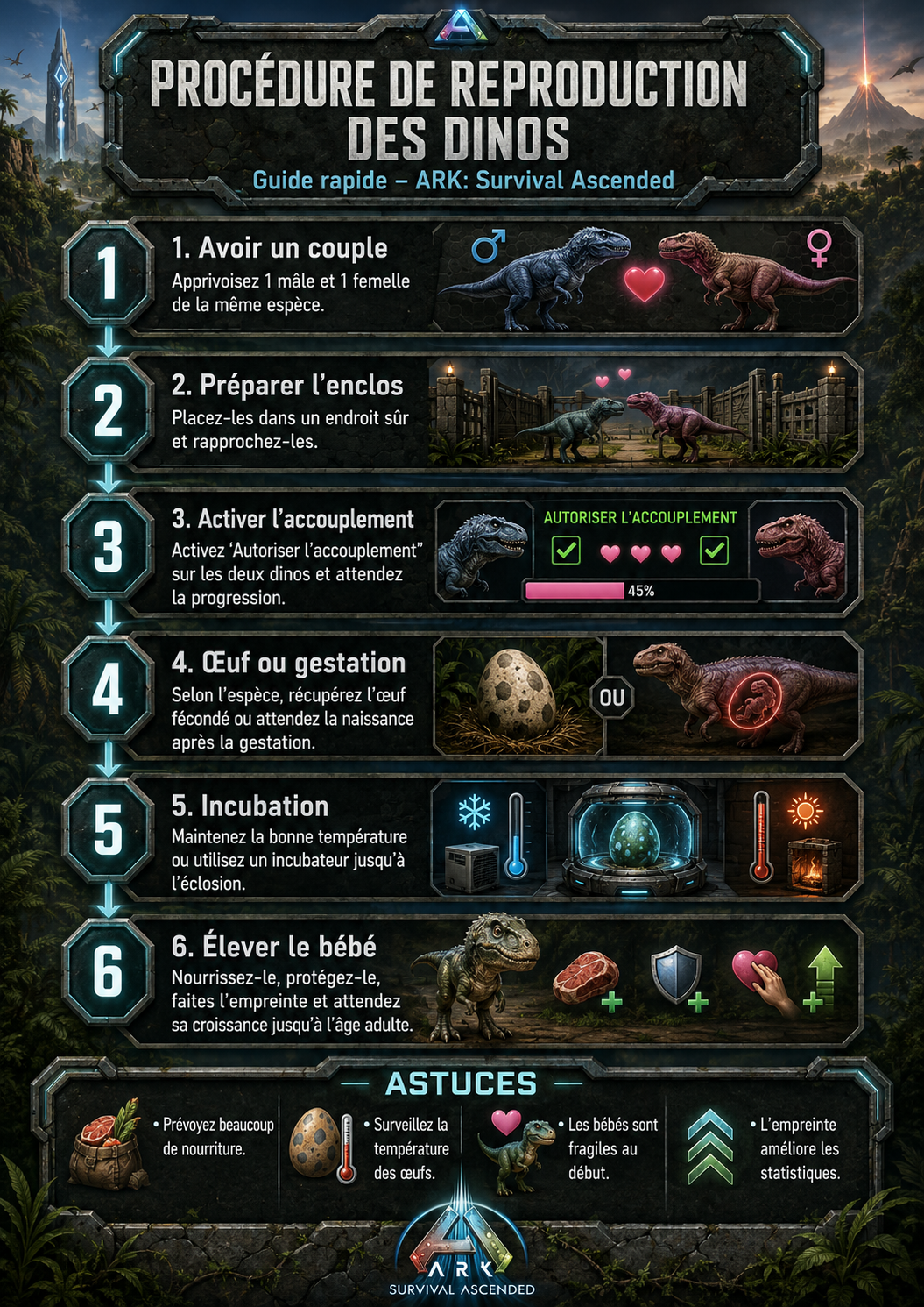 LES BASES DE LA REPRODUCTION